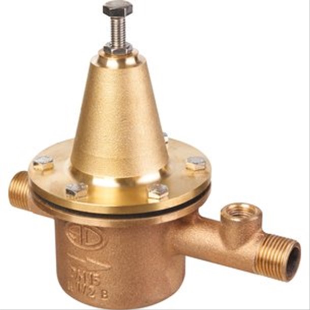 réducteur de pression 1 pouce DM02 bronze / laiton FKM 1.0 - 8.0 bar